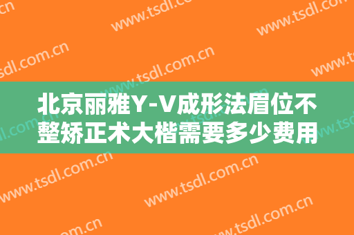北京丽雅Y-V成形法眉位不整矫正术大楷需要多少费用?可靠吗?
