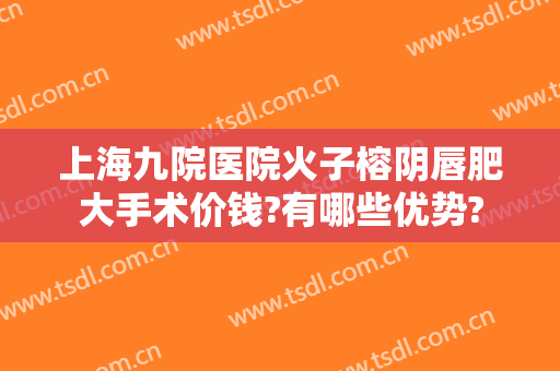 上海九院医院火子榕阴唇肥大手术价钱?有哪些优势?