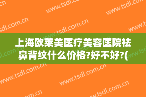 上海欧莱美医疗美容医院祛鼻背纹什么价格?好不好?(鼻背纹除皱大概多少钱)