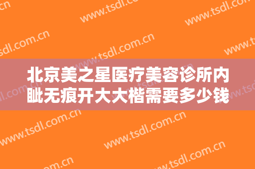 北京美之星医疗美容诊所内眦无痕开大大楷需要多少钱?怎么样?