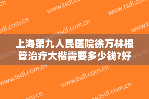 上海第九人民医院徐万林根管治疗大楷需要多少钱?好不好?