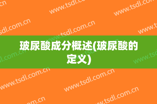 玻尿酸成分概述(玻尿酸的定义)