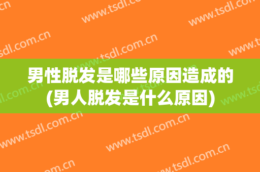 男性脱发是哪些原因造成的(男人脱发是什么原因)