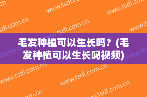 毛发种植可以生长吗？(毛发种植可以生长吗视频)