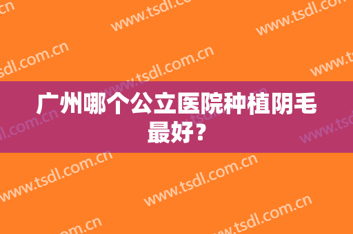 广州哪个公立医院种植阴毛最好？