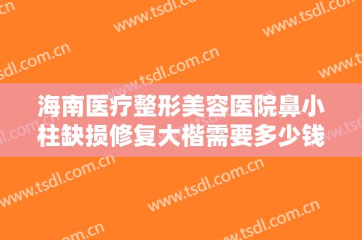 海南医疗整形美容医院鼻小柱缺损修复大楷需要多少钱?需要多久恢复?