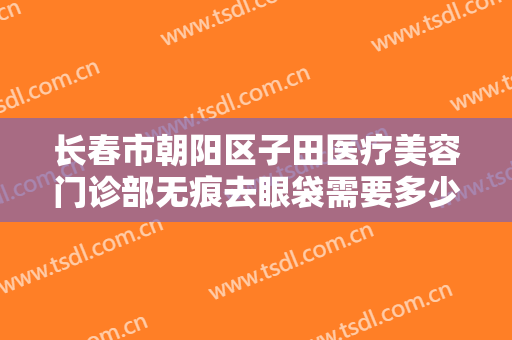 长春市朝阳区子田医疗美容门诊部无痕去眼袋需要多少钱?怎么样?