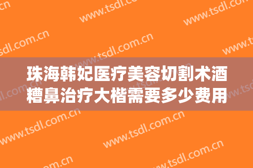 珠海韩妃医疗美容切割术酒糟鼻治疗大楷需要多少费用?有哪些优势?(珠海韩妃整形美容医院口碑怎么样)