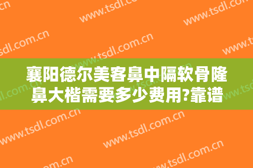 襄阳德尔美客鼻中隔软骨隆鼻大楷需要多少费用?靠谱吗?