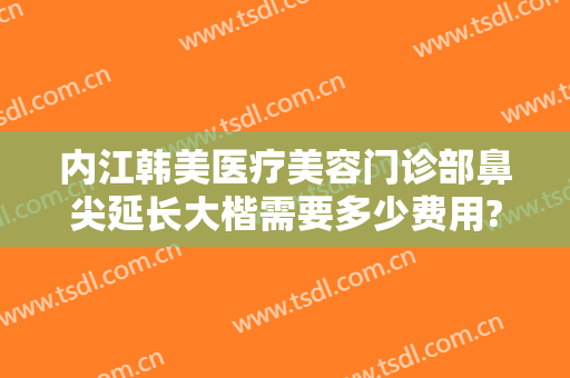 内江韩美医疗美容门诊部鼻尖延长大楷需要多少费用?怎么样?
