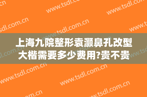 上海九院整形袁灏鼻孔改型大楷需要多少费用?贵不贵?(上海第九人民医院整形鼻子专家)