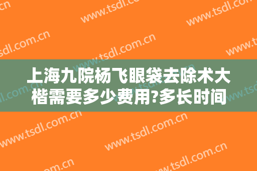 上海九院杨飞眼袋去除术大楷需要多少费用?多长时间恢复?