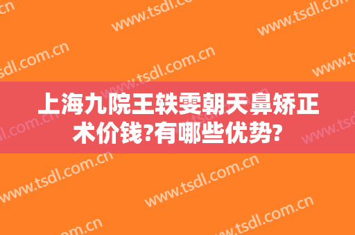 上海九院王轶雯朝天鼻矫正术价钱?有哪些优势?