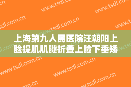 上海第九人民医院汪朝阳上睑提肌肌腱折叠上睑下垂矫正术价格多少钱?靠谱吗?