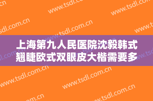 上海第九人民医院沈毅韩式翘睫欧式双眼皮大楷需要多少费用?靠谱吗?