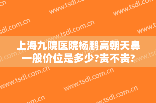 上海九院医院杨鹏高朝天鼻一般价位是多少?贵不贵?
