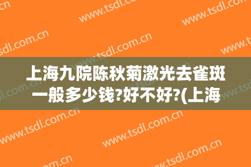 上海九院陈秋菊激光去雀斑一般多少钱?好不好?(上海九院激光祛雀斑)