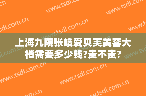上海九院张峻爱贝芙美容大楷需要多少钱?贵不贵?