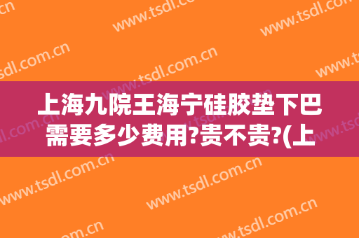 上海九院王海宁硅胶垫下巴需要多少费用?贵不贵?(上海九院硅胶垫下巴多少钱)