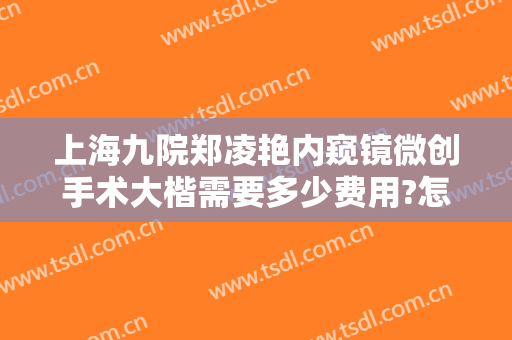 上海九院郑凌艳内窥镜微创手术大楷需要多少费用?怎么样?