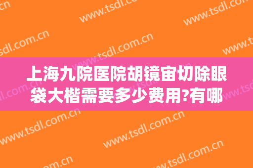 上海九院医院胡镜宙切除眼袋大楷需要多少费用?有哪些优势?(上海九院切眼袋好的医生)