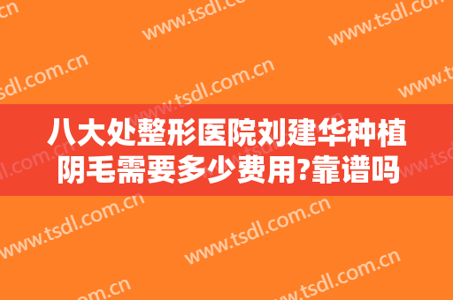 八大处整形医院刘建华种植阴毛需要多少费用?靠谱吗?