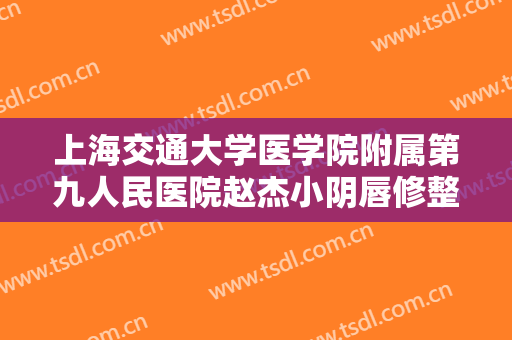 上海交通大学医学院附属第九人民医院赵杰小阴唇修整一般多少费用?怎么样?
