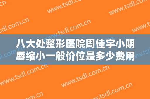 八大处整形医院周佳宇小阴唇缩小一般价位是多少费用?好不好?