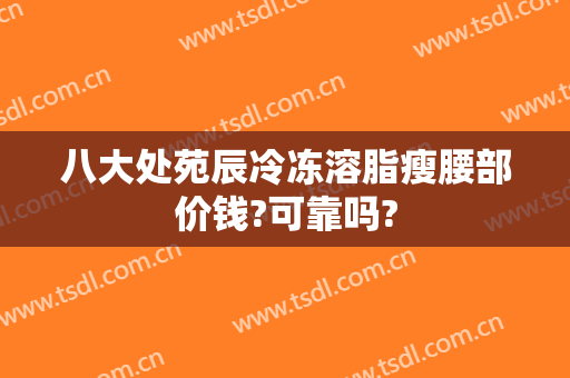 八大处苑辰冷冻溶脂瘦腰部价钱?可靠吗?