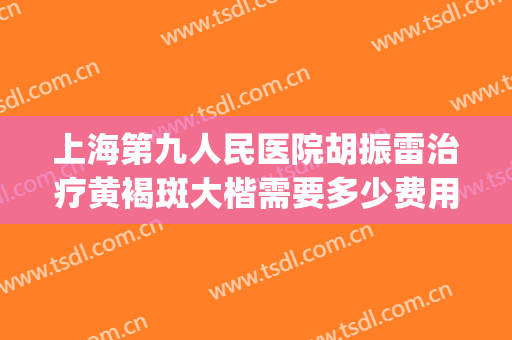 上海第九人民医院胡振雷治疗黄褐斑大楷需要多少费用?有哪些优势?(上海九院治黄褐斑专家)