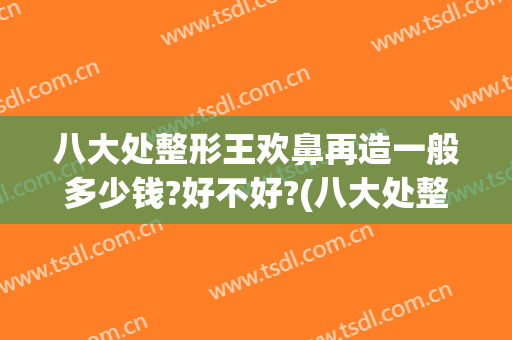 八大处整形王欢鼻再造一般多少钱?好不好?(八大处整形外科医院 王欢)