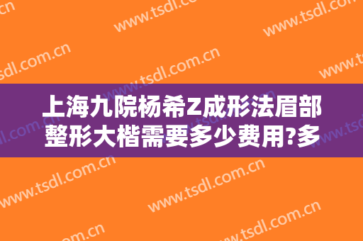 上海九院杨希Z成形法眉部整形大楷需要多少费用?多长时间恢复?