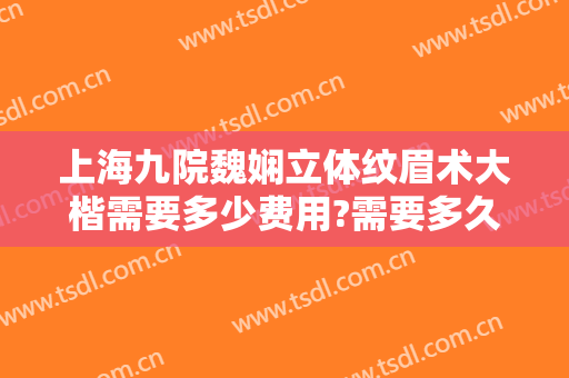 上海九院魏娴立体纹眉术大楷需要多少费用?需要多久恢复?