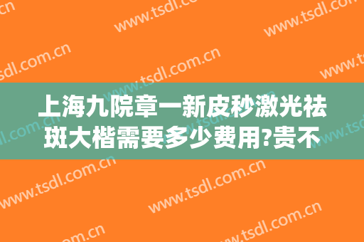 上海九院章一新皮秒激光祛斑大楷需要多少费用?贵不贵?(上海第九人民医院皮秒祛斑价格大概多少)