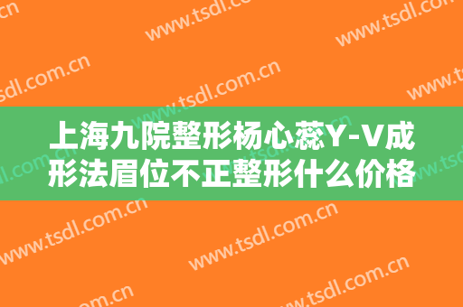 上海九院整形杨心蕊Y-V成形法眉位不正整形什么价格?好不好?