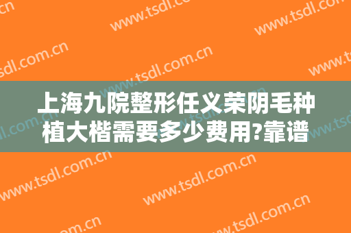上海九院整形任义荣阴毛种植大楷需要多少费用?靠谱吗?