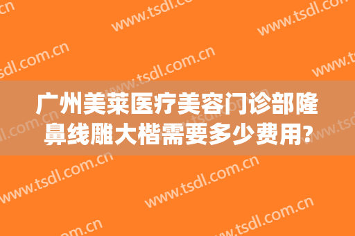 广州美莱医疗美容门诊部隆鼻线雕大楷需要多少费用?怎么样?(广州市美莱整形医)