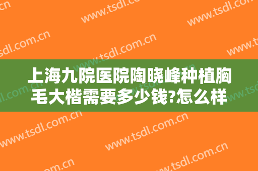 上海九院医院陶晓峰种植胸毛大楷需要多少钱?怎么样?