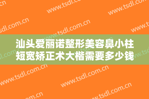 汕头爱丽诺整形美容鼻小柱短宽矫正术大楷需要多少钱?贵不贵?