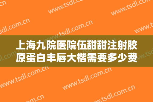上海九院医院伍甜甜注射胶原蛋白丰唇大楷需要多少费用?可靠吗?