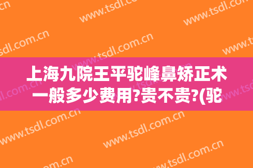 上海九院王平驼峰鼻矫正术一般多少费用?贵不贵?(驼峰鼻矫正手术要多少钱?)