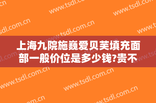 上海九院施巍爱贝芙填充面部一般价位是多少钱?贵不贵?