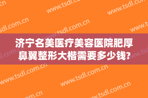 济宁名美医疗美容医院肥厚鼻翼整形大楷需要多少钱?好不好?(宽鼻梁矫正多少钱)