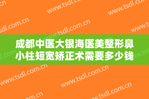 成都中医大银海医美整形鼻小柱短宽矫正术需要多少钱?靠谱吗?