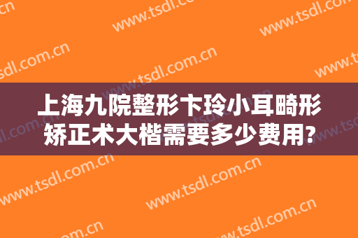 上海九院整形卞玲小耳畸形矫正术大楷需要多少费用?多长时间恢复?