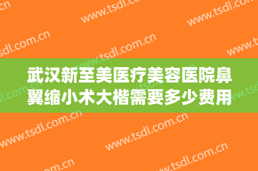 武汉新至美医疗美容医院鼻翼缩小术大楷需要多少费用?贵不贵?(医美缩小鼻翼多少钱)