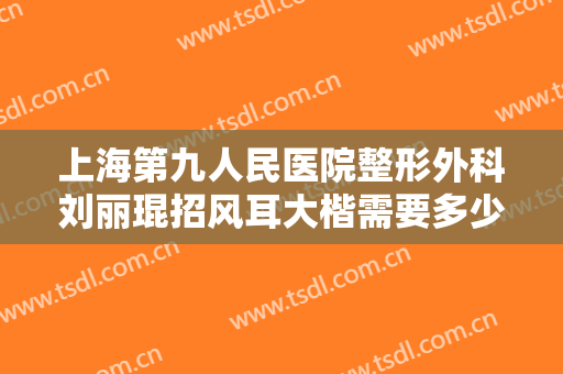 上海第九人民医院整形外科刘丽琨招风耳大楷需要多少钱?怎么样?