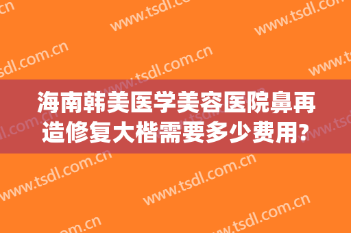 海南韩美医学美容医院鼻再造修复大楷需要多少费用?可靠吗?(美容院整鼻子多少钱)