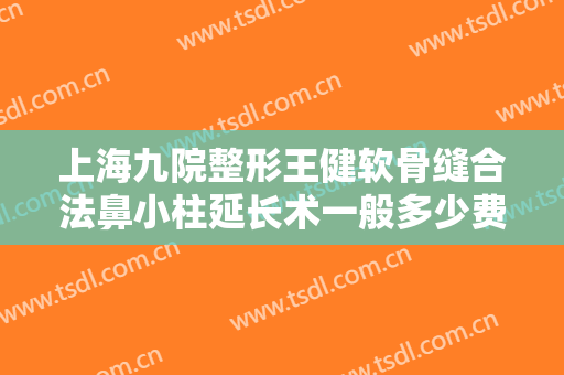 上海九院整形王健软骨缝合法鼻小柱延长术一般多少费用?需要多久恢复?