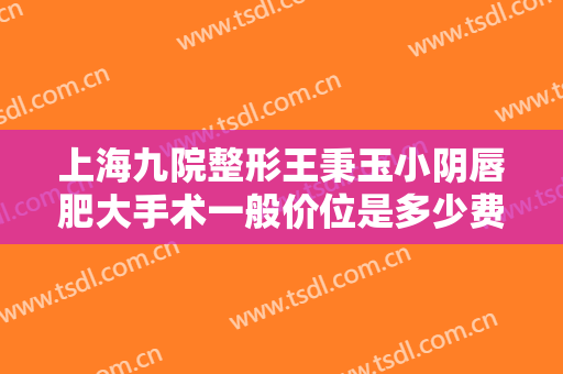 上海九院整形王秉玉小阴唇肥大手术一般价位是多少费用?靠谱吗?